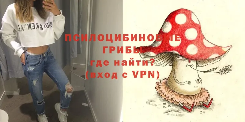 Галлюциногенные грибы MAGIC MUSHROOMS  Новокубанск 